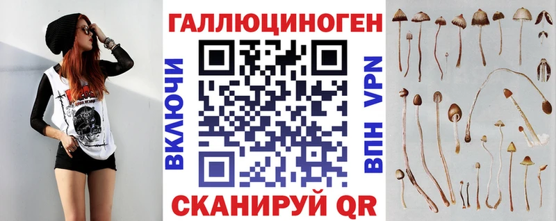 наркошоп  Полярный  Псилоцибиновые грибы GOLDEN TEACHER 